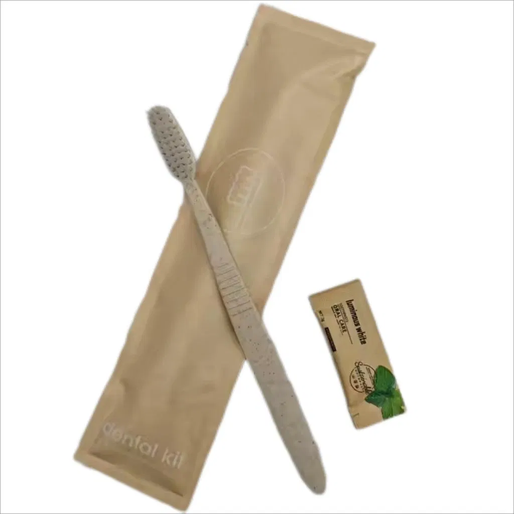 Wholesale Cheap Individually Packaged Disposable Hotel Toothbrush with Toothpaste