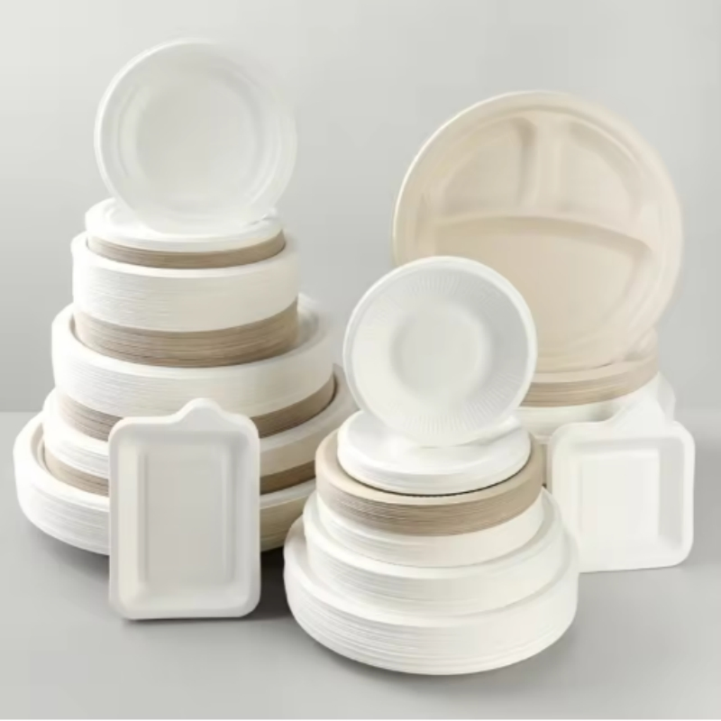 2026 Disposable Tableware Biodegradable Salad Plate