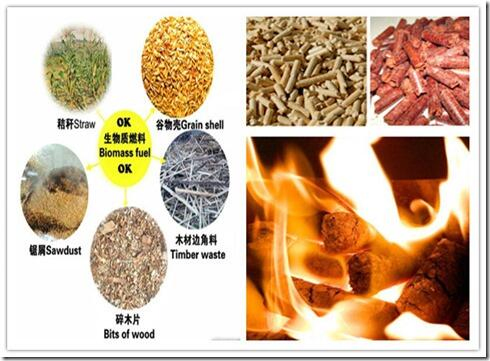 Real Flame Fireplace Wood Pellet Stove Klbl-80b