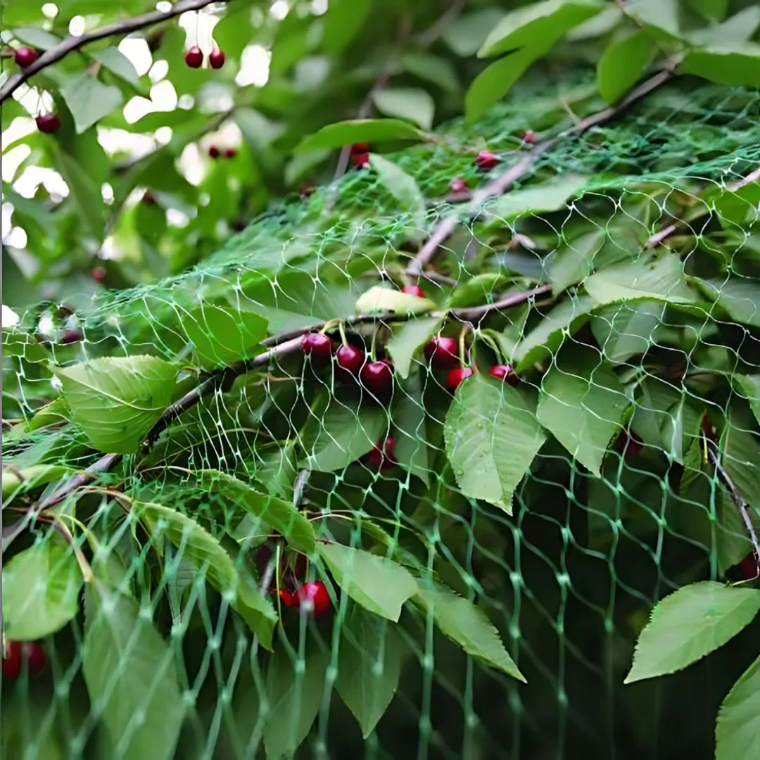 Modular Plant Trellis Panels That Interconnect to Create Custom Sized Growing Areas