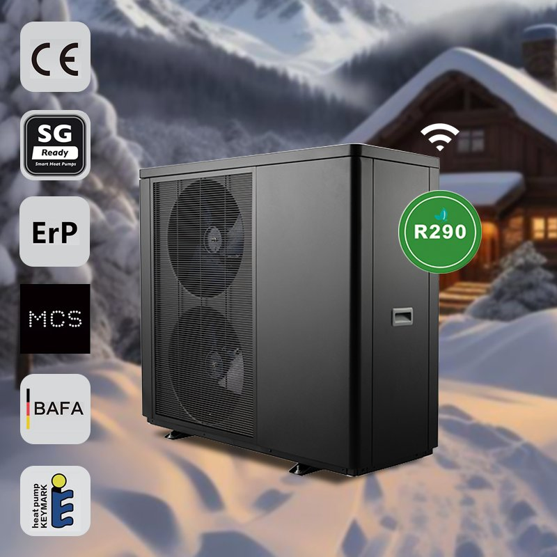 Multifunctional R290 DC Inverter Heat Pump for House Heating Cooling Hot Water