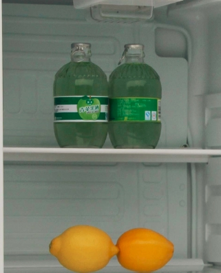 Competitive Refrigerator and Freezer OEM Supplier Made in China