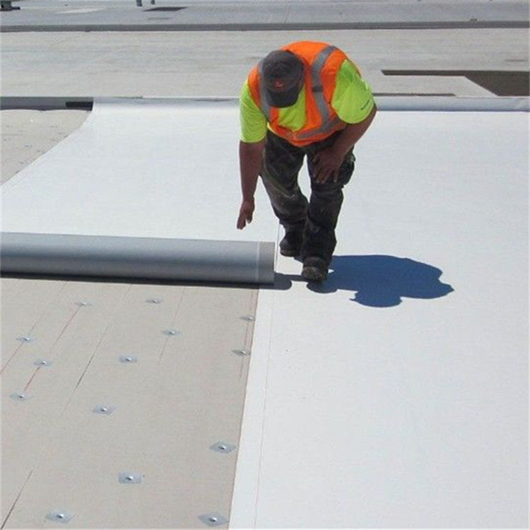 Waterproof Membrane Sheet for Roofing with Fabric Reinforcement