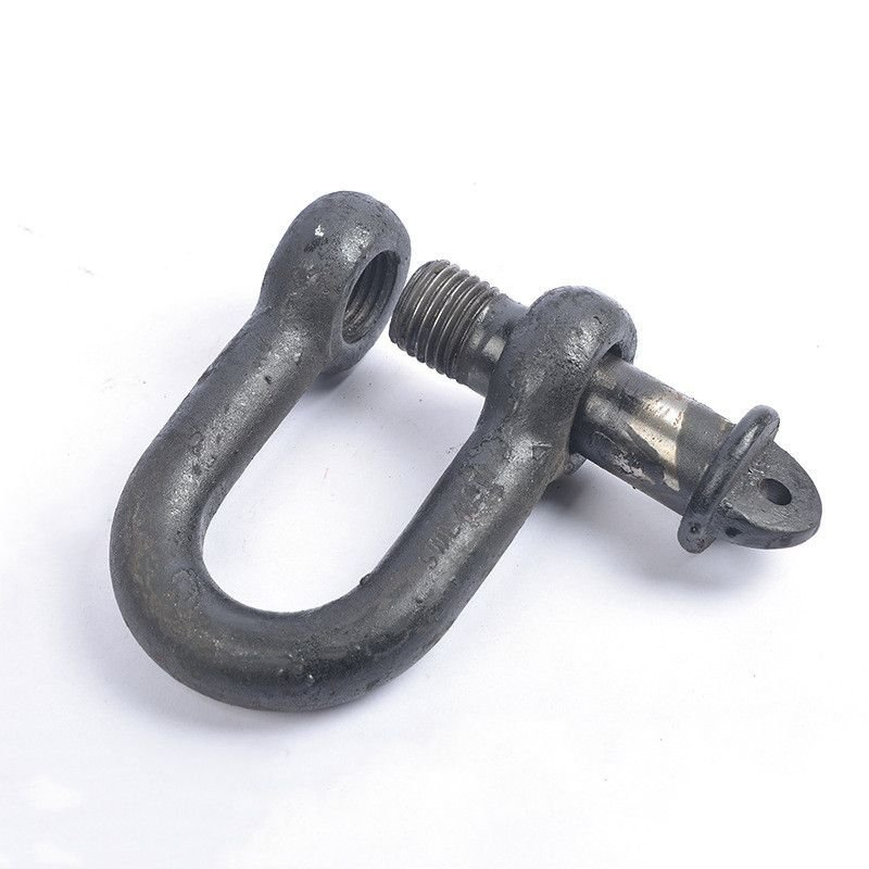 Forged D Type Anchor End Shackle HDG