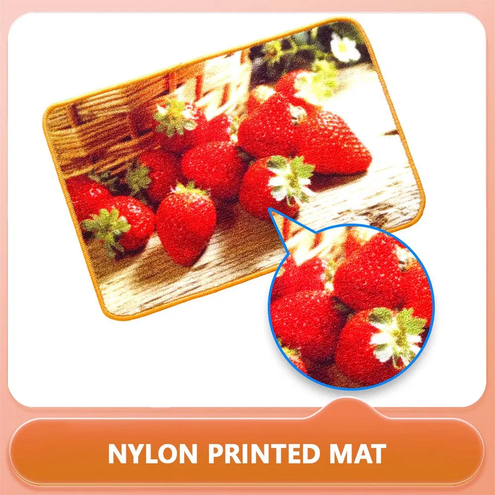 Home Indoor Custom Logo Outdoor Front Door Printed Carpet, Nylon Printed Carpet