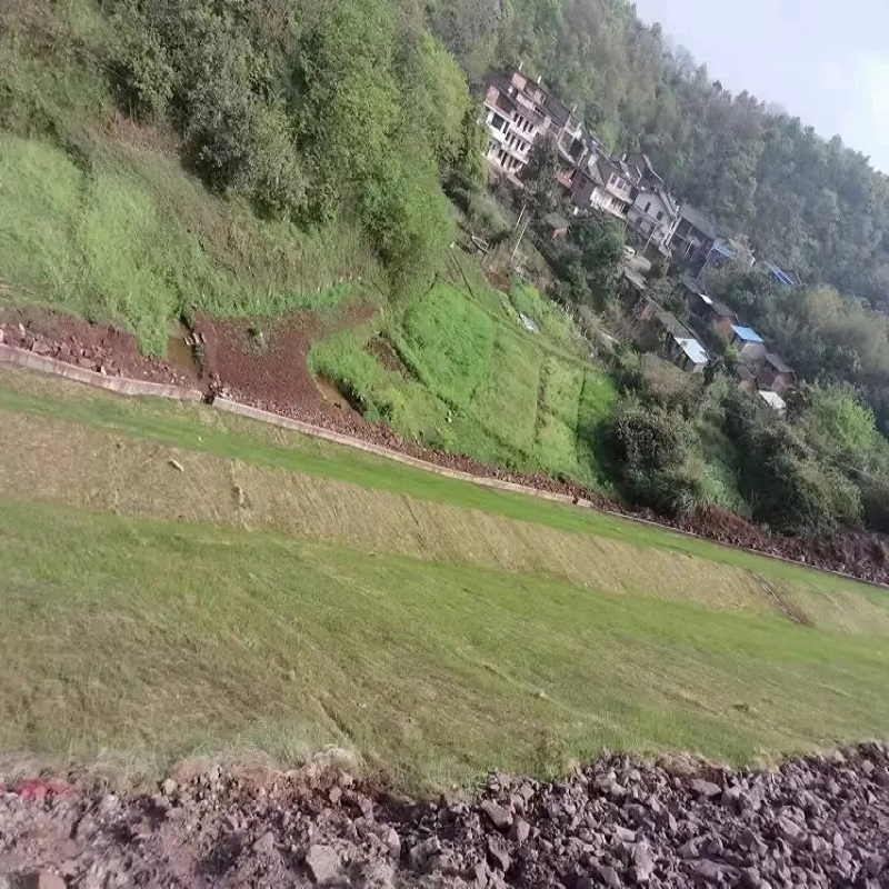 Coconut Fiber Blanket for Slope Protection/Barren Mountain Restoration/Anti-Impact Biological Mat