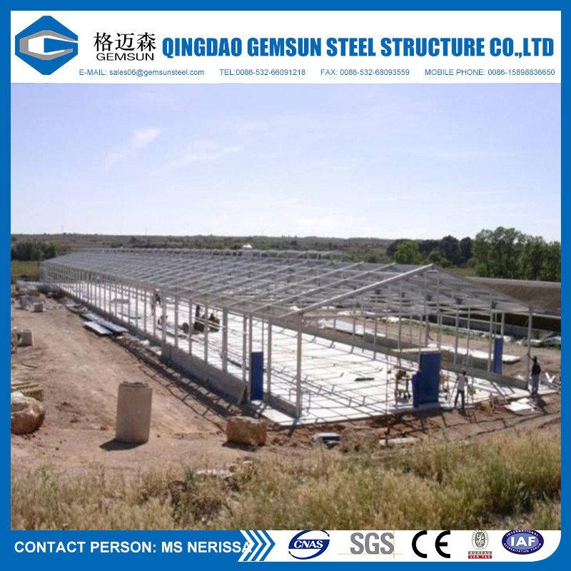 Steel Structure Poultry Farm Shed Chicken Layers House
