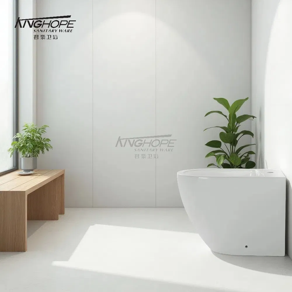 Minimalist Style Bathroom Furniture Ceramic Sanitary Ware Floor Standing Handheld Bidet