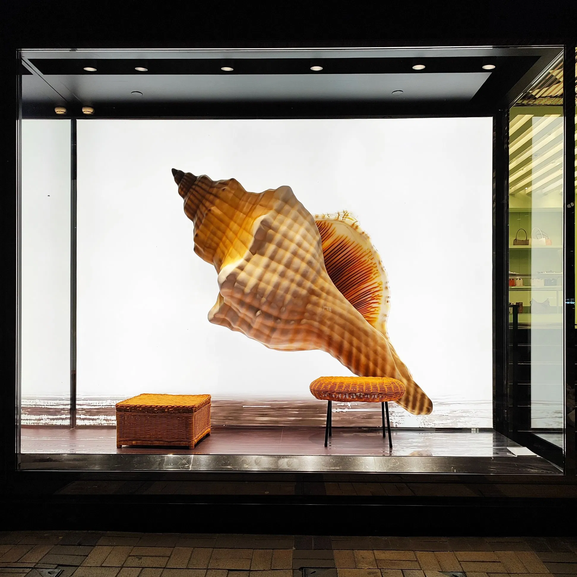 Professional Manufacturing Summer Window Display Props Large Conch Props Shop Decoration