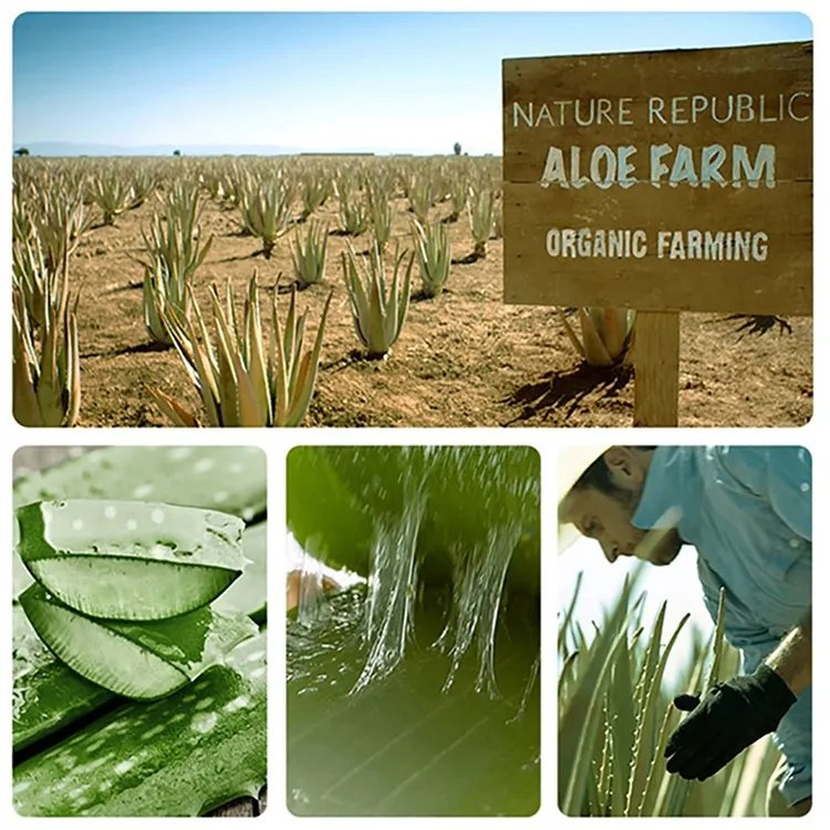 Danjia 040 500g Aloe Vera Petal Toner Skin Care Body Care