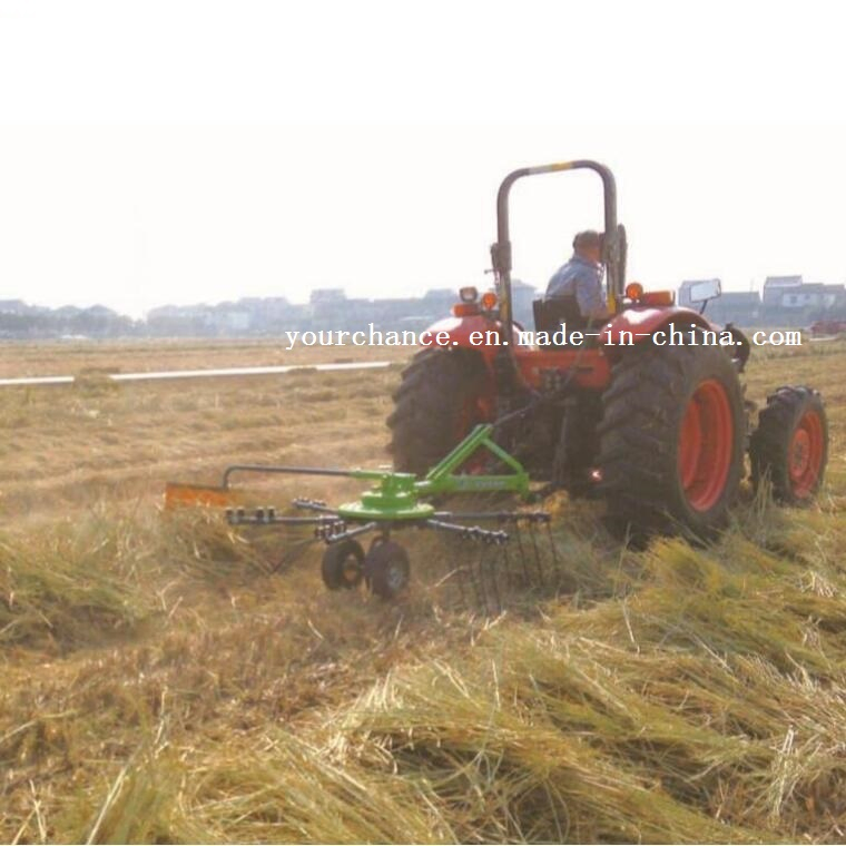 Australia Hot Sale Rhr-2500 Tractor 3 Point Hitch Pto Drive Rotary Hay Rake Tedder