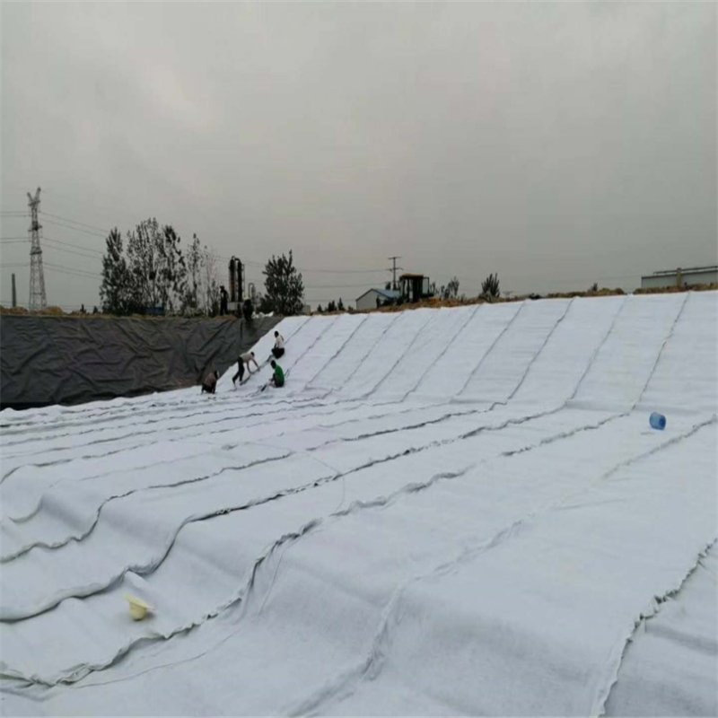 Manufacturer HDPE Drainage Geocomposite Drainage Geonet with Long Fiber Geotextile for Landfill Road Garden Drainage