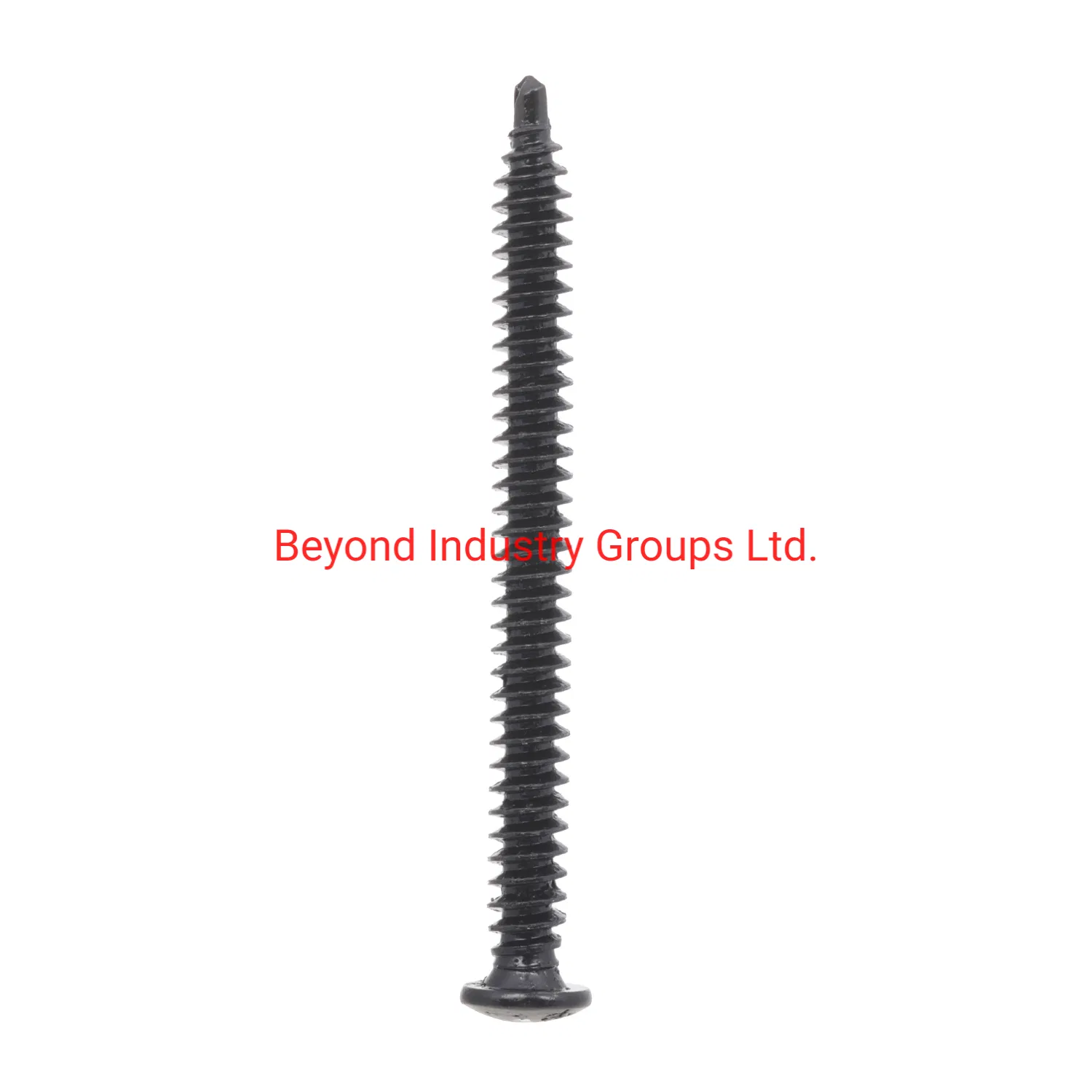 Black Drywall Screw Collated Screw Grey Screw
