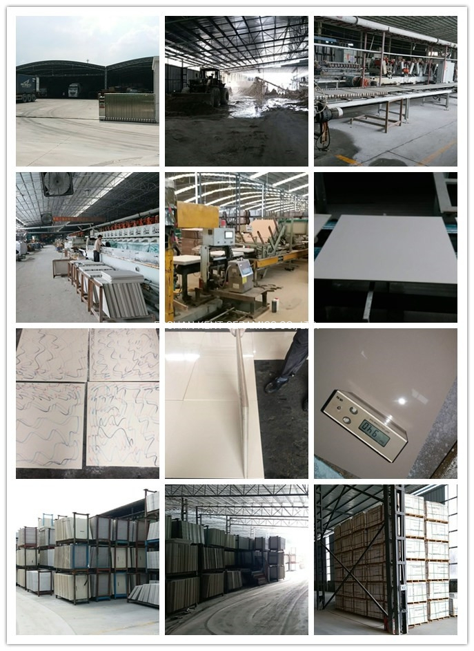 800*800 White Pulati Polished Porcelain Vitrified Wall and Floor Tiles