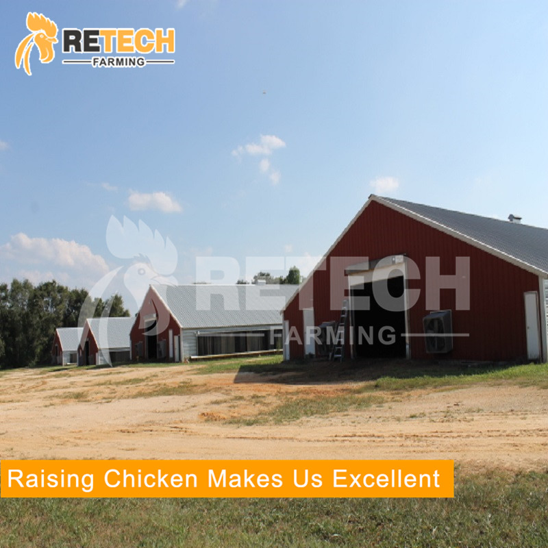 High quality light steel structure commercial poultry house farms for 20000 chickens
