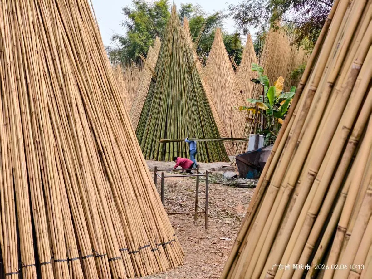 BBQ Bamboo Stick Flower Stick