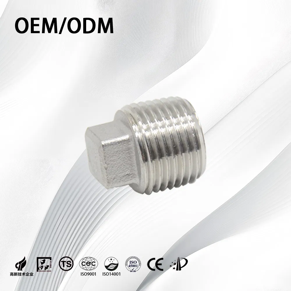 Stainless Steel Customize Threaded Pipe Fitting End Plug for Chemical Handling Pipe