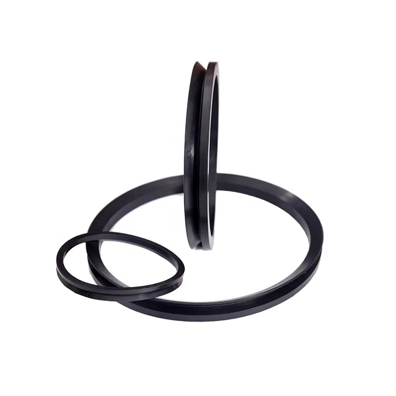 Hydraulic Cylinder FKM Rubber V-Ring Vl Vs Va Seals End Face Seal