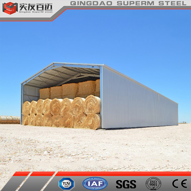 Cheap Prefabricated Steel Structure Building Metal Frame Storage Sheds