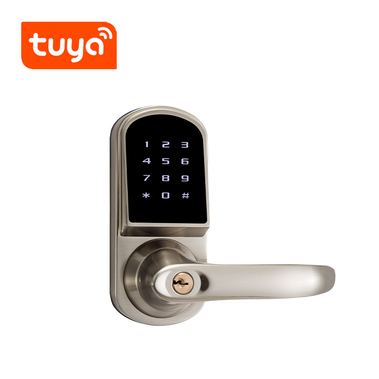 Bluetooth Keyless Go APP Tuya WiFi Access Smart Code Card Door Lock Handle Lock