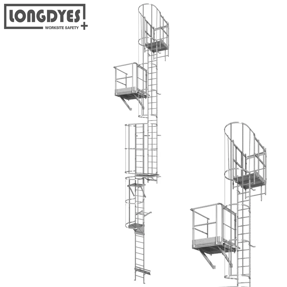 Building Edge Caged Fixed Ladder with Hatch Access