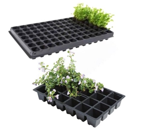 Кассета для рассады 50 ячеек, пластиковая
