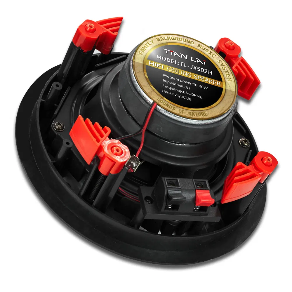 Потолочный Hi-Fi динамик Tianlai 5.5 дюймов