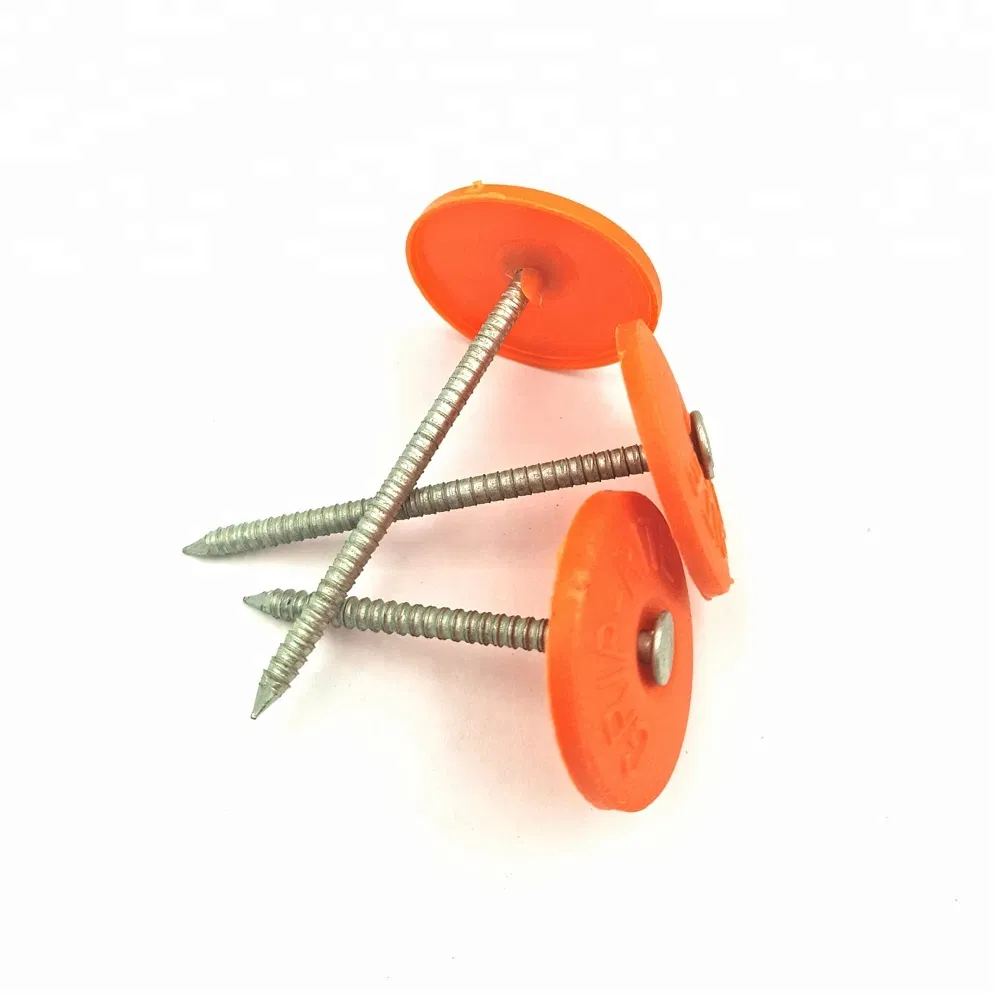 Common /Square Boat /Roofing/Duplex /Plastic Cap /Concrete /Coil /Clavo/Prego Nails