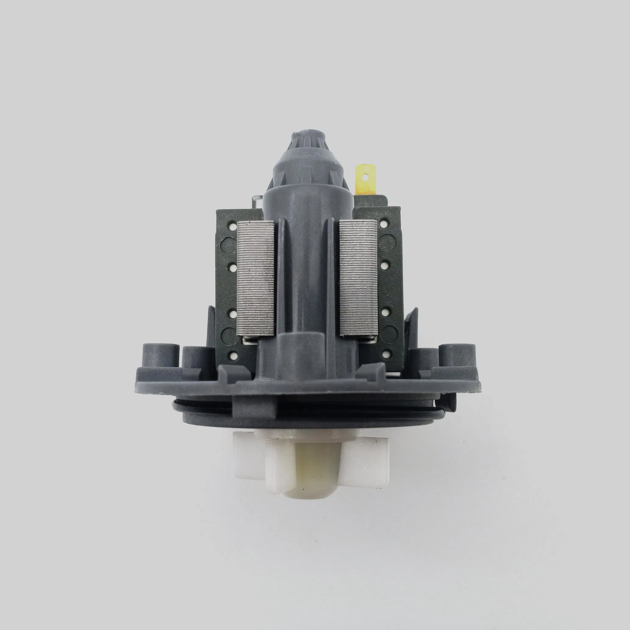 Ruijp 220V-240V Universal Drain Pump Washing Machine Motor