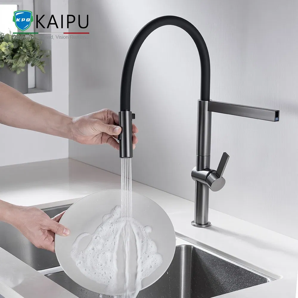 Kitchen Faucet with Sprayer Sink Taps