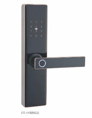 Economical Intelligent Fingerprint Password Multi-Function Smart Door Lock