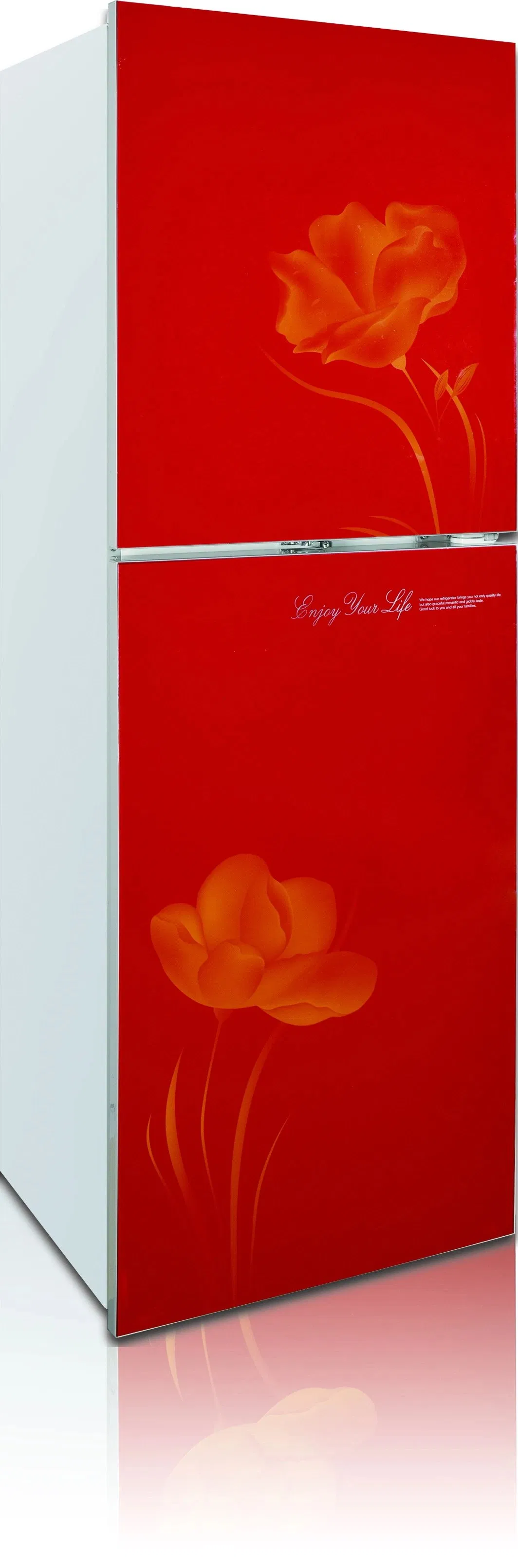 Low Noise Bcd-250 Defrost Top Freezer Design Refrigerator