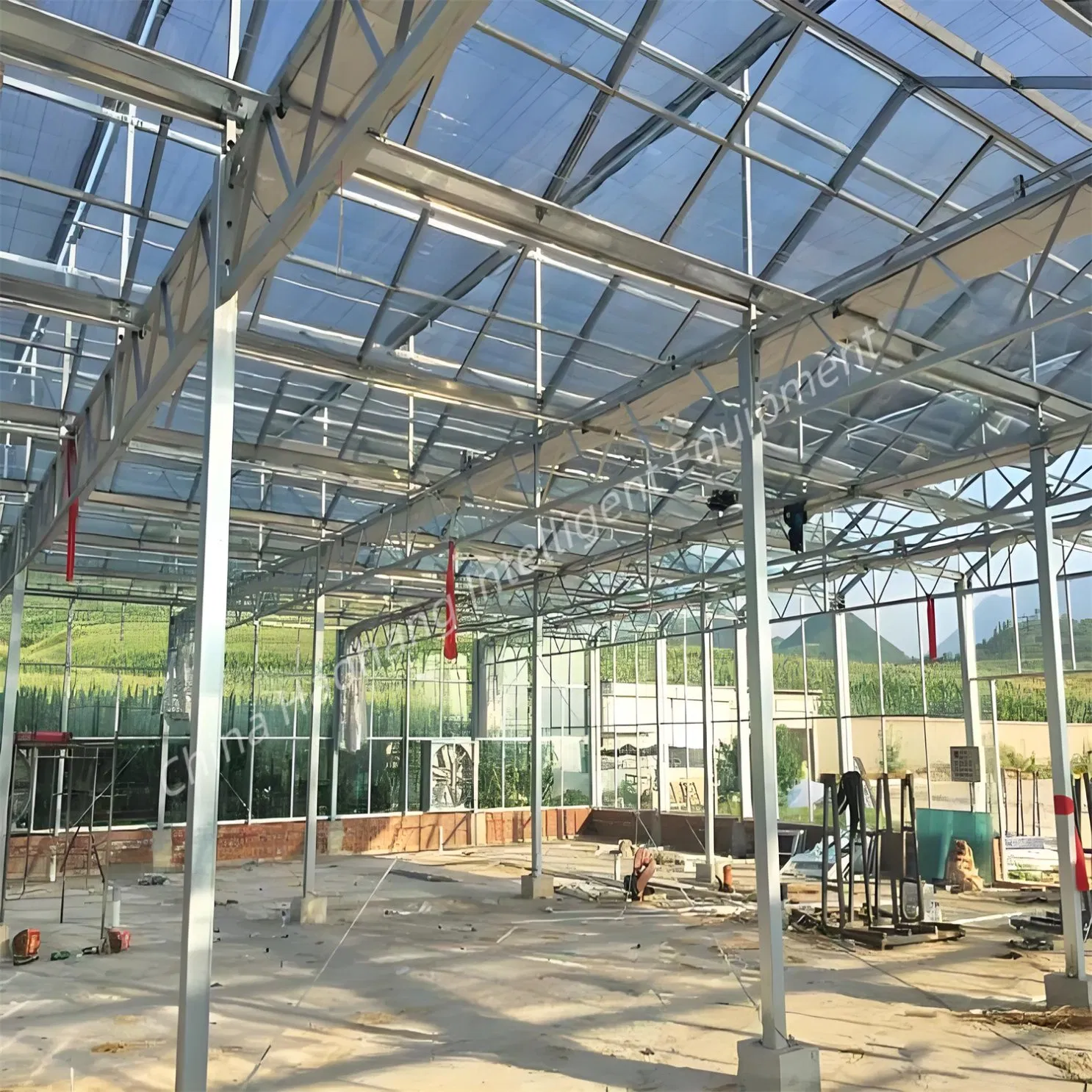 Cheap Tomato Vegetable Greenhouse