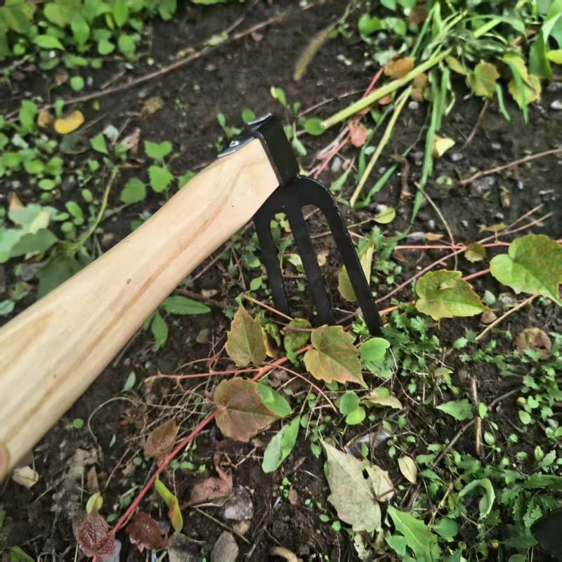 Factory Hot Sale Multi-Functional Carbon Steel Hoe-Fork for Agricultural
