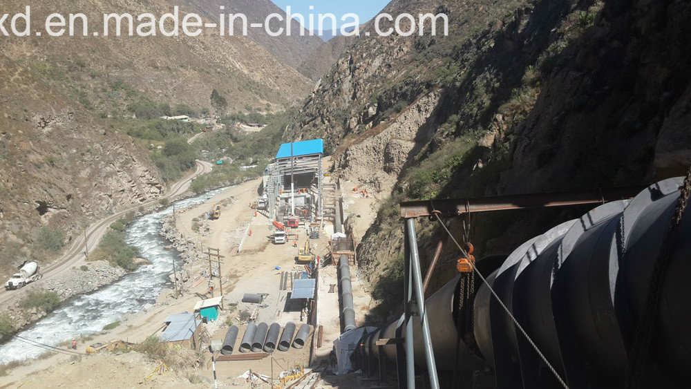 Prefabricated Steel Structure Hangar Shed with Crane