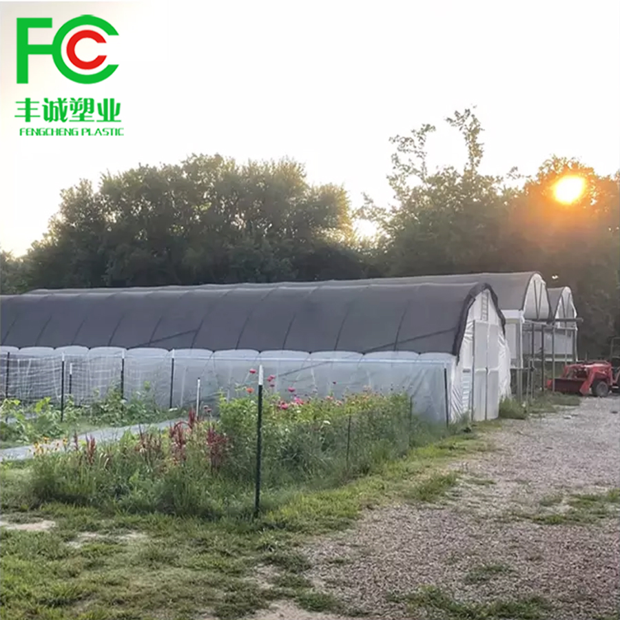 40% Shade Agriculture Shade Net Good Quality Shadow Mesh