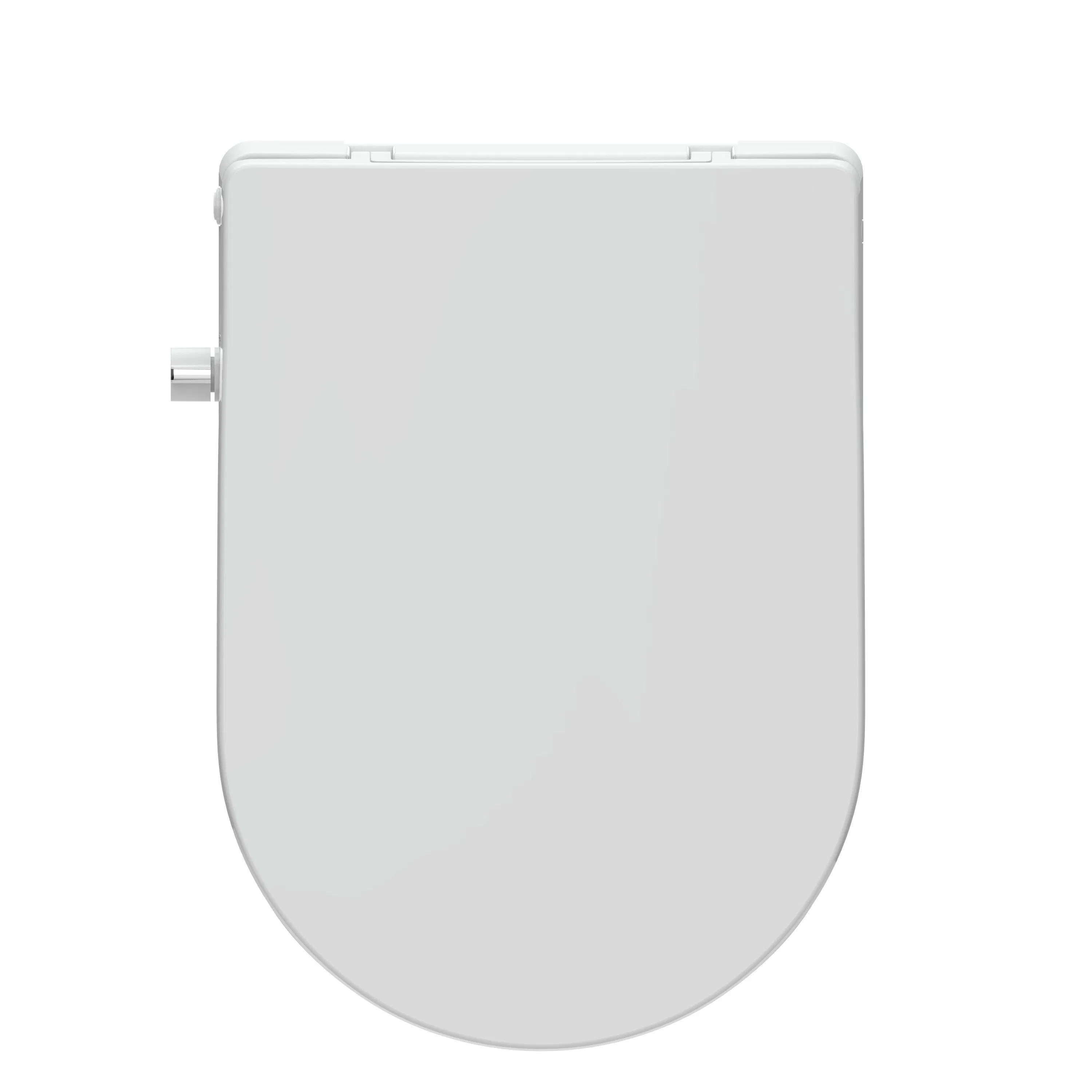 Non Electric Bidet Seat Self Cleaning Shattaf Personal Bidet Toilet Seat Bathroom Accessories