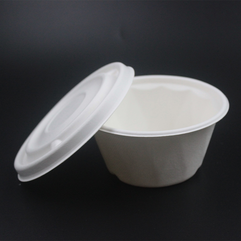 Plastic Free Disposable Sugarcane Tableware Bagasse Bowl with Lid