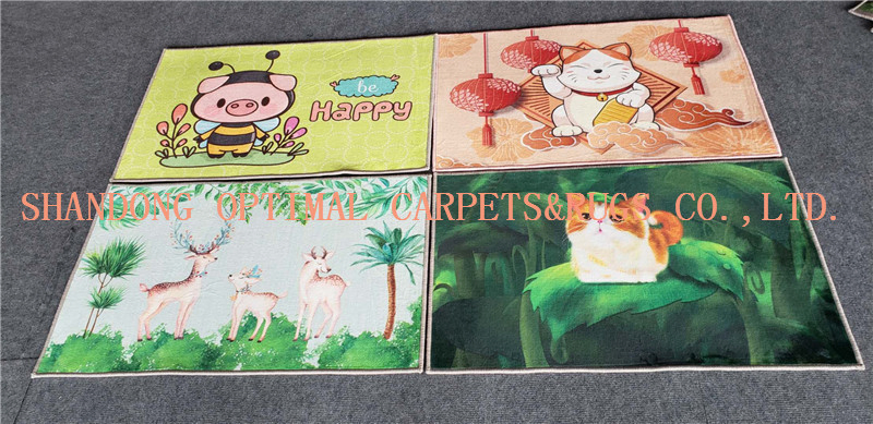 Washable Digital Transfer Dye Sublimation Photo Printed Kitchen Door Floor Rugs