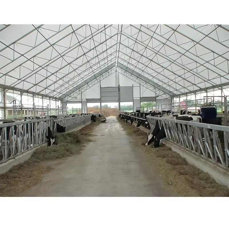 Poultry Shed Prefab Barn Steel Structures Farm Building Dairy Cow Cubicles