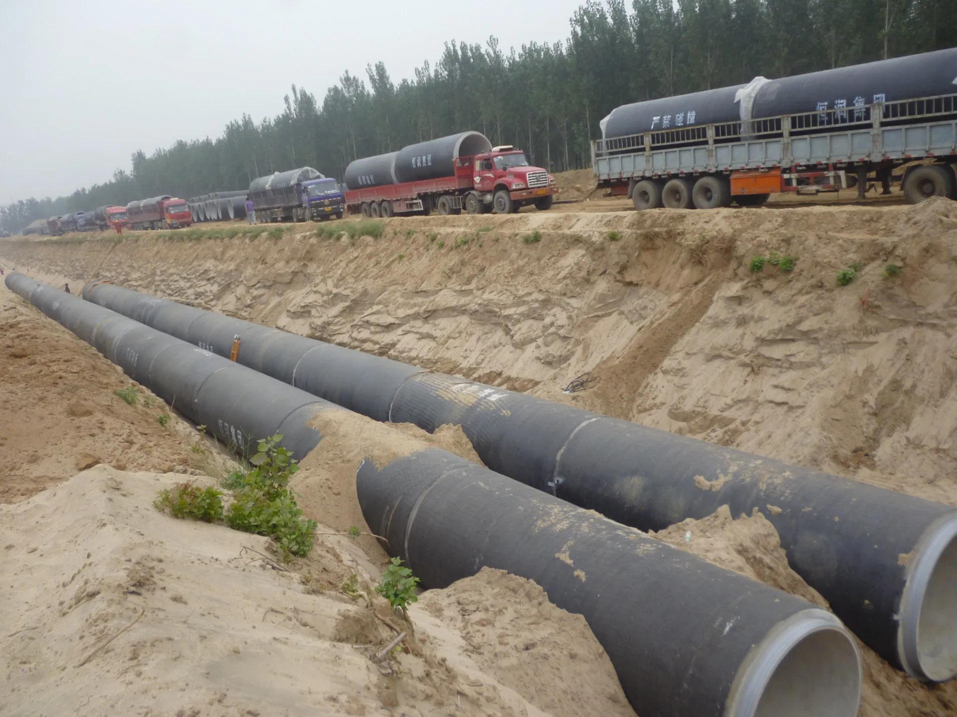 DN600-DN4000 Pccp Jccp Prestressed Concrete Cylinder Pipe with Joint Socket End Ring