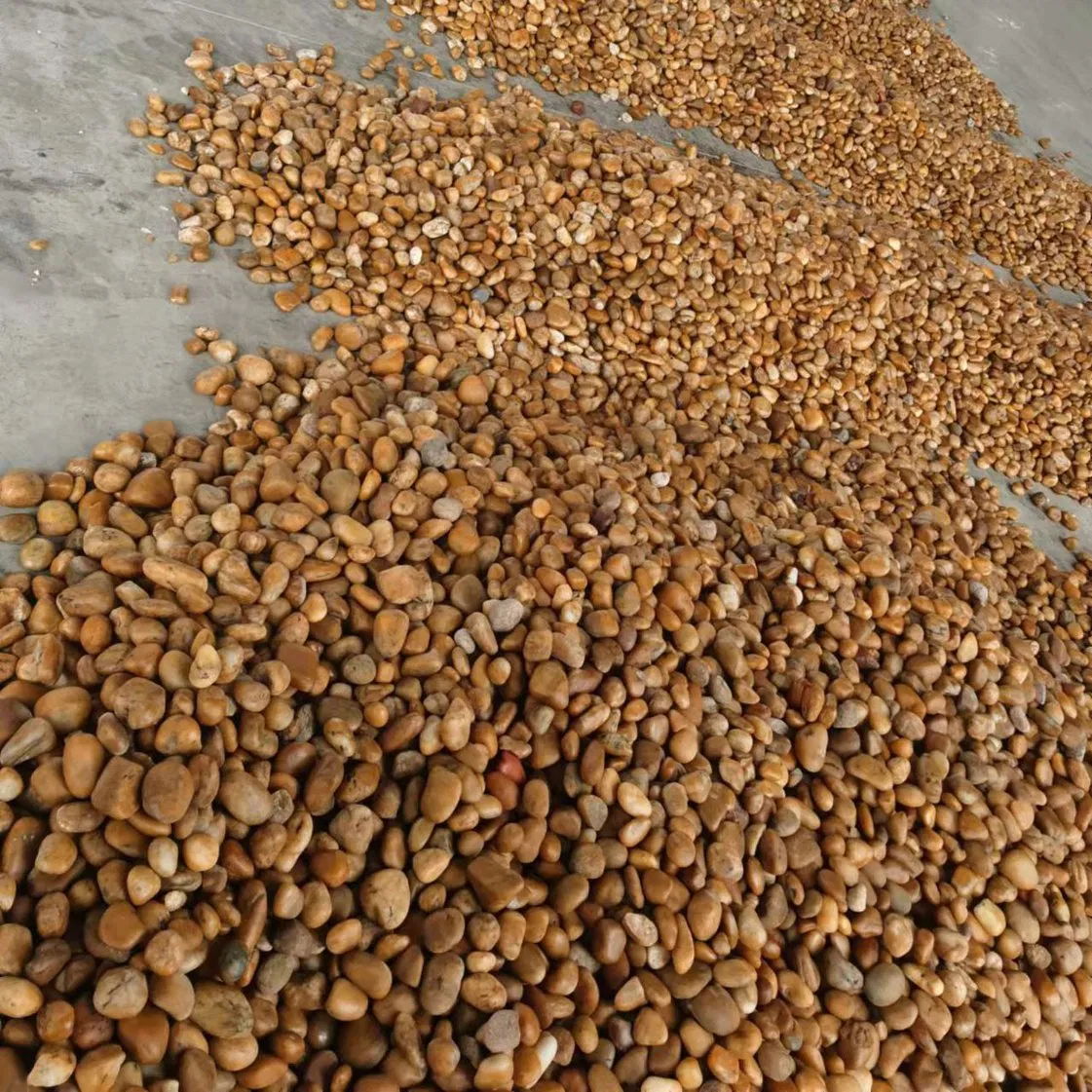Landscape Garden and Aquarium Flat River Rock Stone Yellow Polished Pebbles