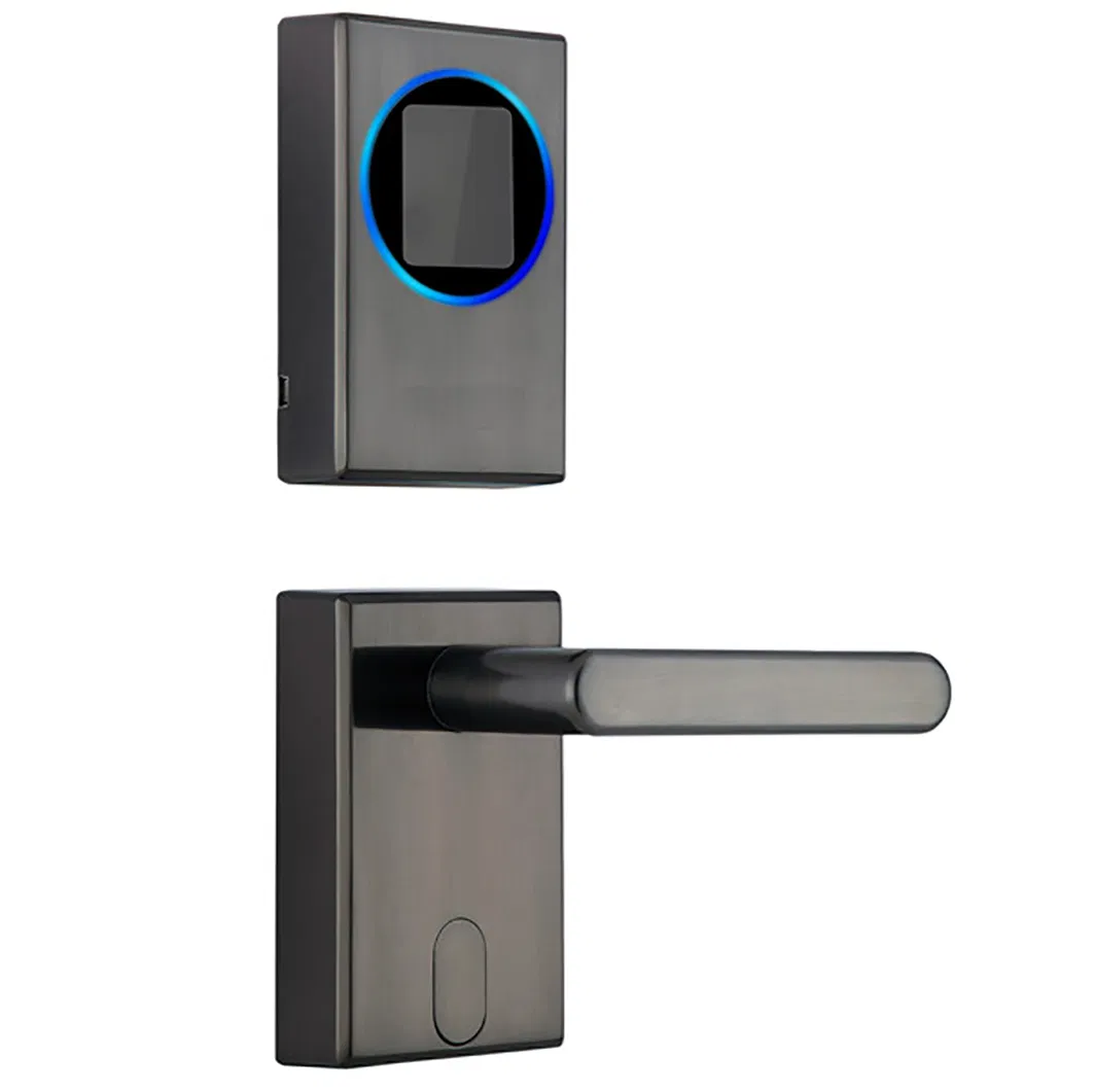 The Advanced Room Number Display Electric Hotel LCD Door Lock