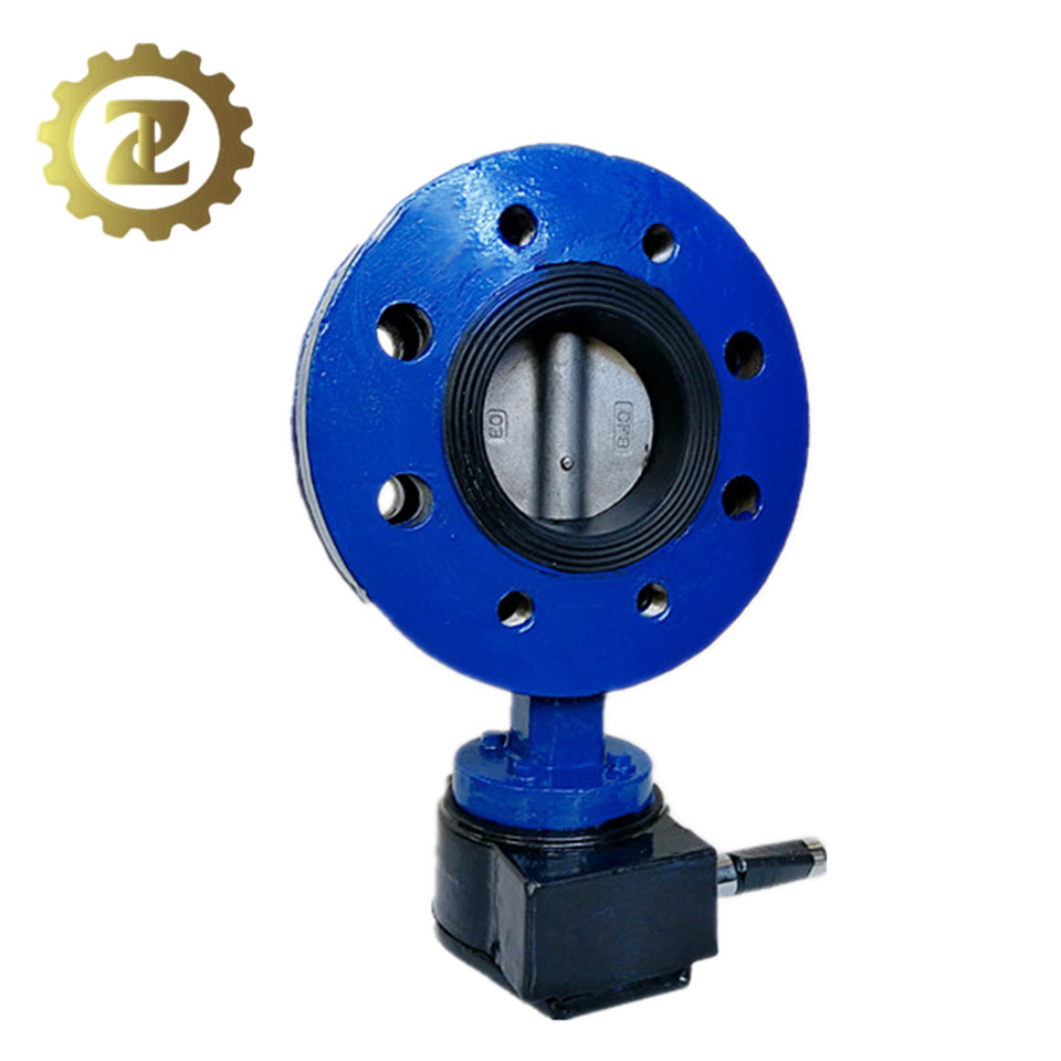 CF8m Disc Double Flanged Butterfly Valve with Worm Gear