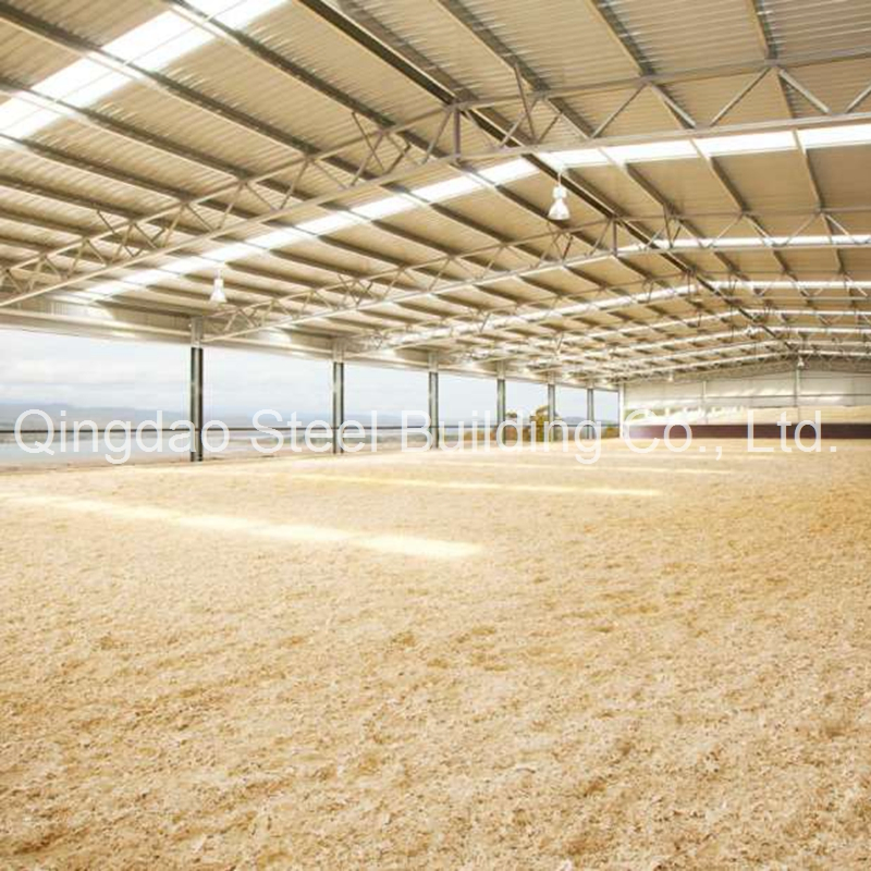 Customized Pre-Engineered Steel Structure Horse Arena/ Indoor Riding Arena Steel Horse Barns