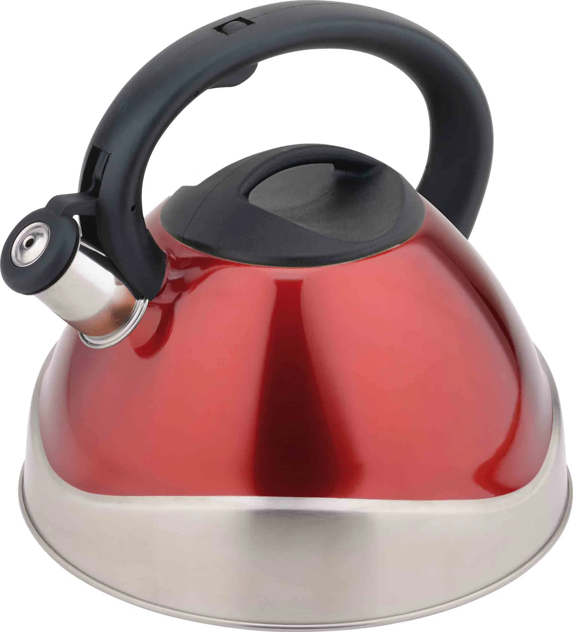 France Stylish 304 Stainless Steel Induction Kettle for Everyday Use