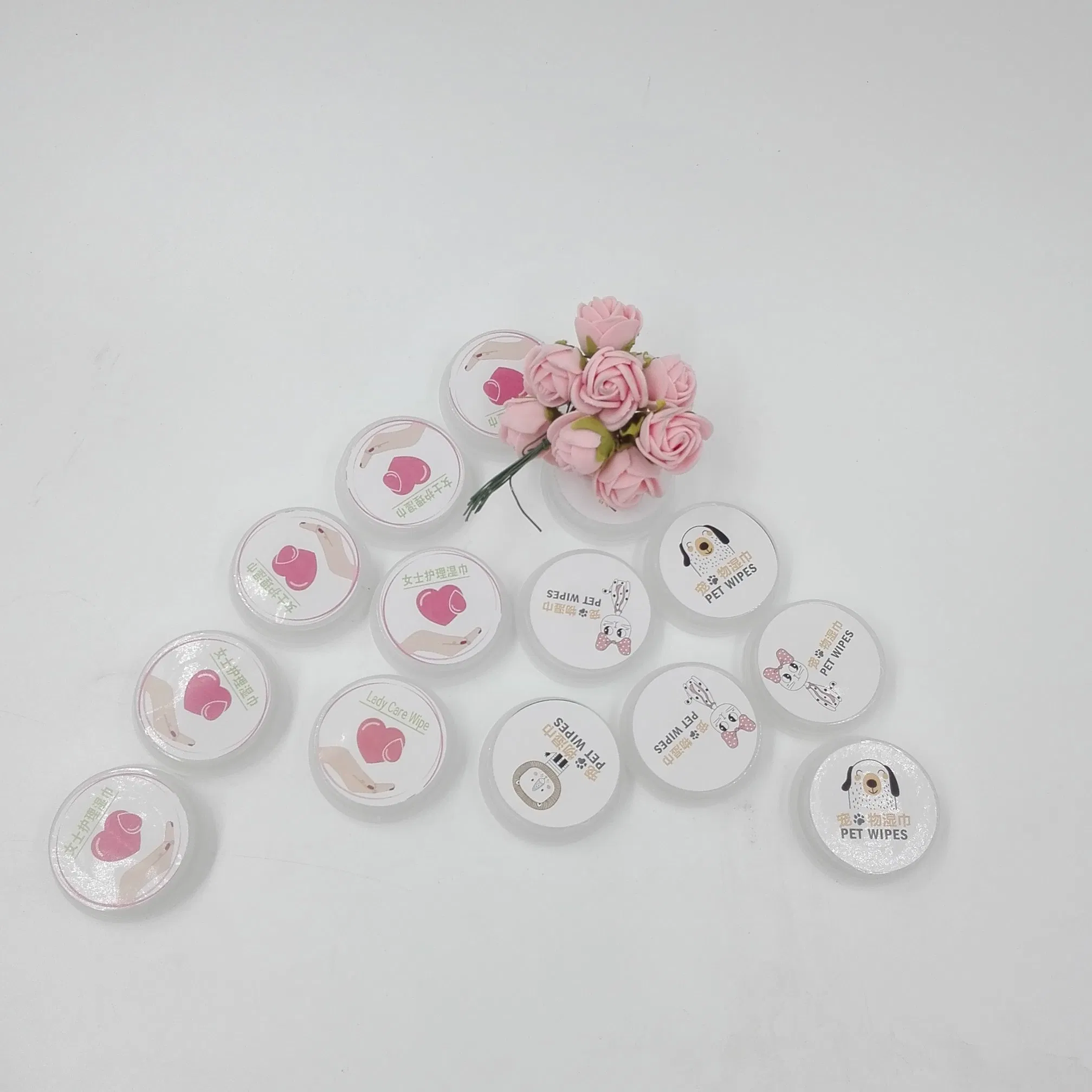 Wholesale OEM Brand Push Wet Wipe