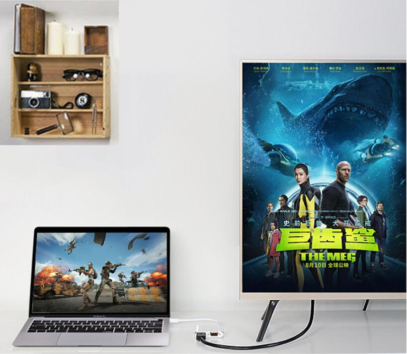 Multi-Display Type C Hub with HDMI and VGA Outputs