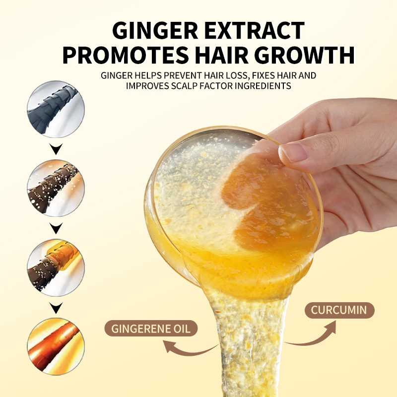 Ginger Hair Growth Set Private Label 500ml Natural Tea Tree Repairing Nourishing Hair Thickening Shampoo