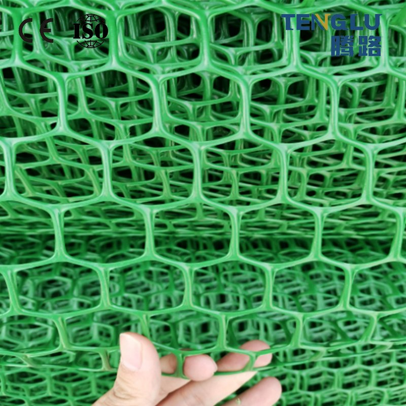 CE Certified Modern Industrial Design Composite Geonet HDPE Plastic for Railway Drainage Earthwork & Garden Applications